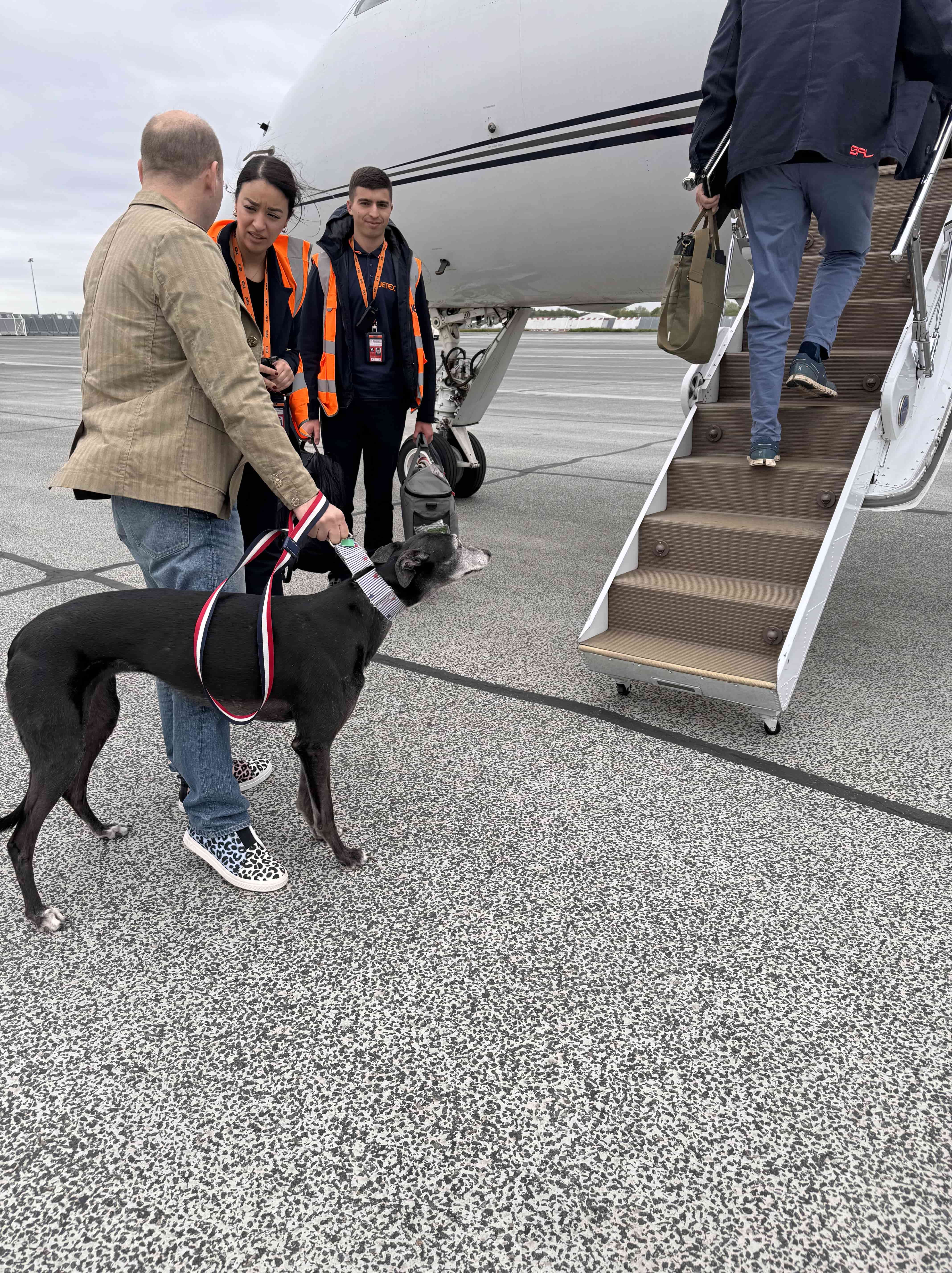 In-flight pet care service