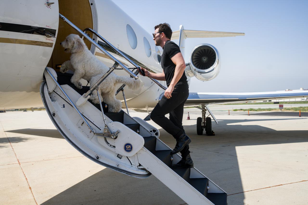 Pet boarding aircraft with professional staff